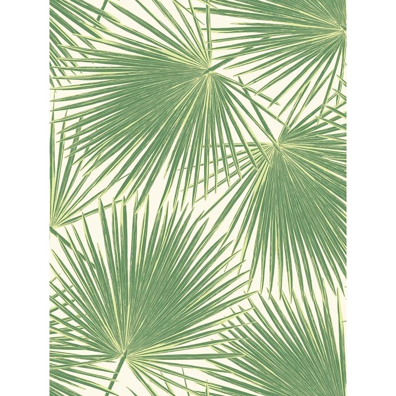 Sample TA20204 Tortuga, Green, Swirl by Seabrook Wallpaper