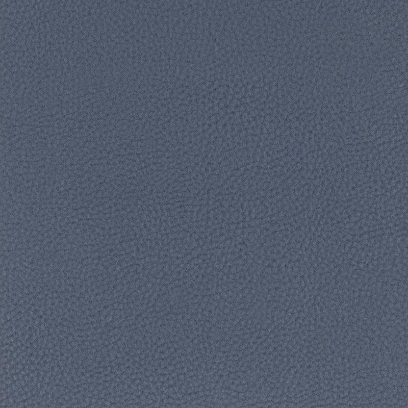 Sample Clas-1 Classic 1 Blueberry By Stout Fabric
