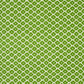 Purchase 174488 Ziggurat Green by Schumacher Fabric