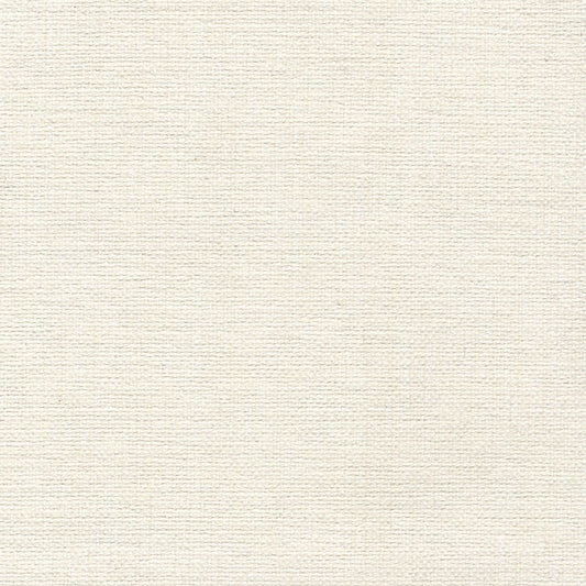 Save A9 00016850 Slow White by Aldeco Fabric