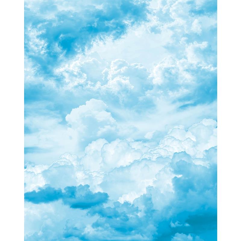 X4-1026 Colours  Himmelszelt Wall Mural by Brewster,X4-1026 Colours  Himmelszelt Wall Mural by Brewster2