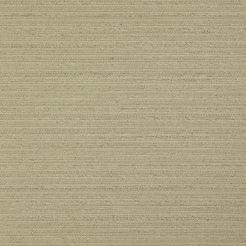 Sample DI5732 Darwin Fern by Maxwell