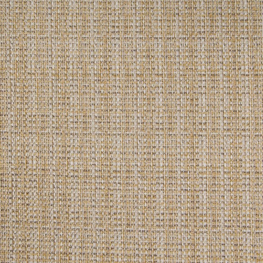 B4766 Sisal | Metallic, Woven - Greenhouse Fabric