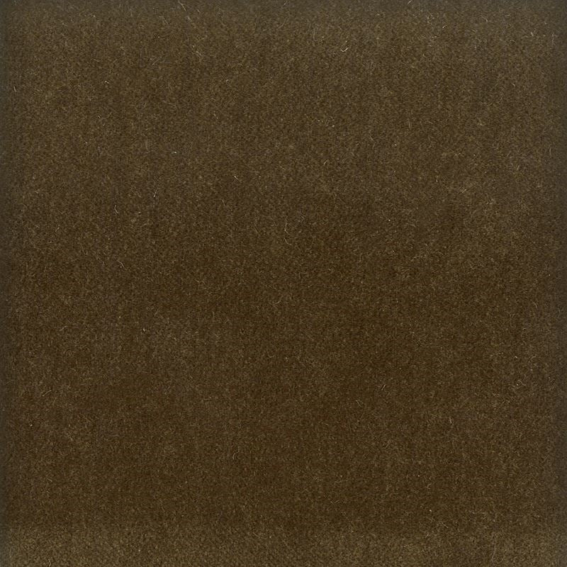 Sample MOOR-6 Moore, Twig Stout Fabric