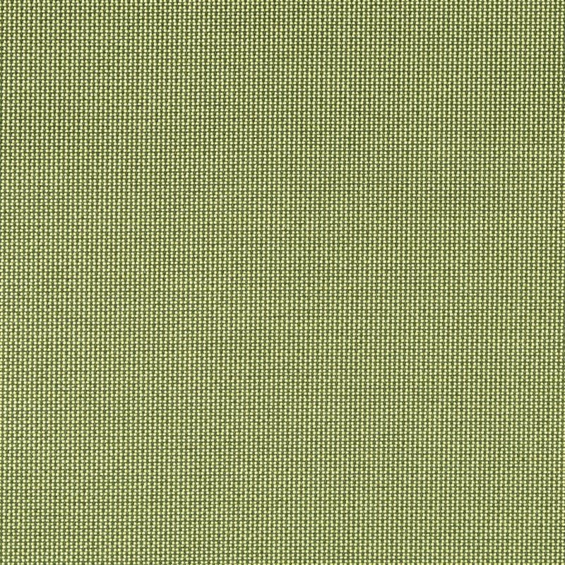 242095 | Fine Texture Lime - Robert Allen