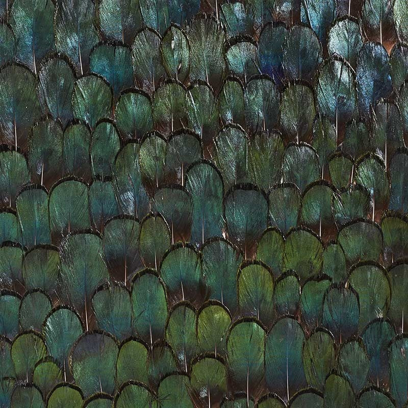 Purchase 5008380 Jade Forest Green Schumacher Wallpaper