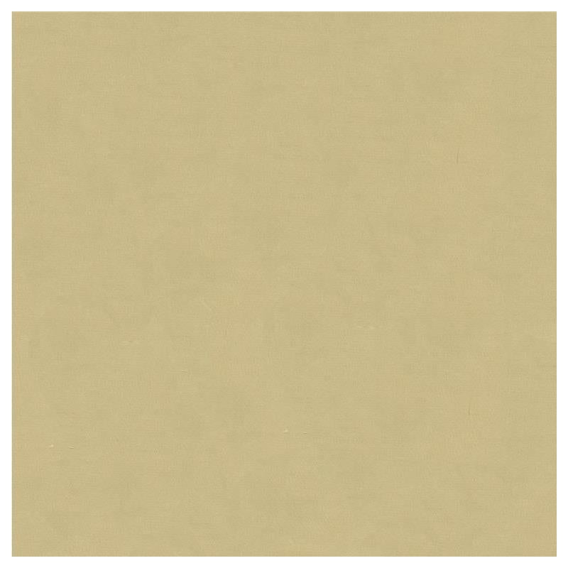 Acquire 4070.16.0  Solids/Plain Cloth Beige by Kravet Design Fabric