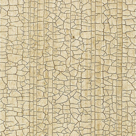 Find 5003761 Masaccio Ground Champagne Schumacher Wallpaper