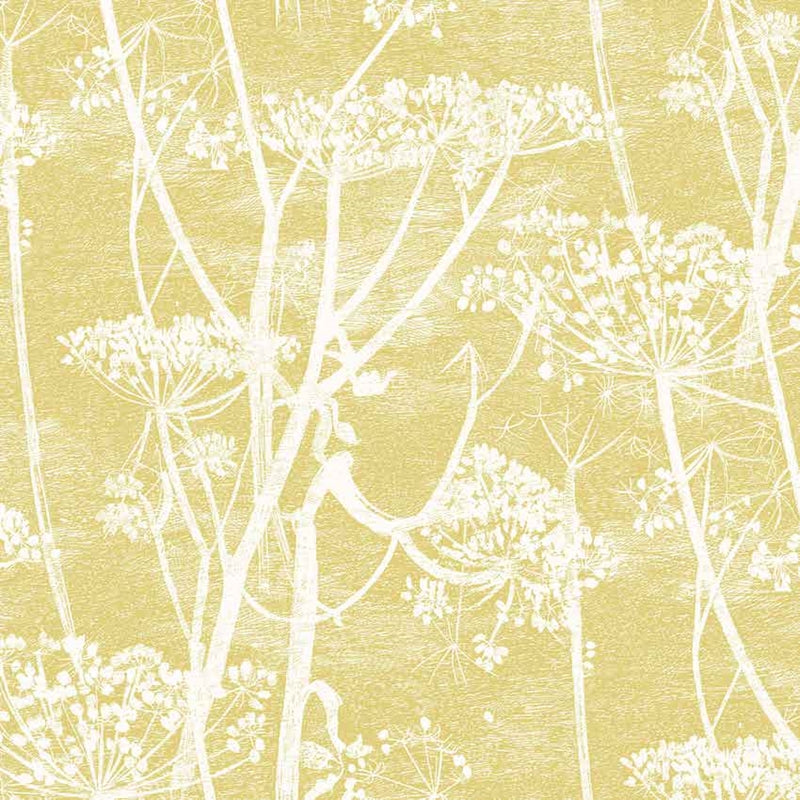 Sample F111-5020 Cow Parsley Wht and Chartre by Cole and Son Fabric