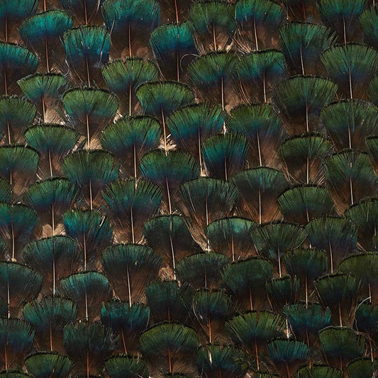 Search 5008397 Edenite Moss Green Schumacher Wallpaper
