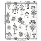 Looking for 5010640 Cabot Botanical Large Ivory Schumacher Wallcovering Wallpaper