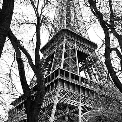 Buy CB43200M Desmond Black Eiffel Tower by Carl Robinson Wallpaper