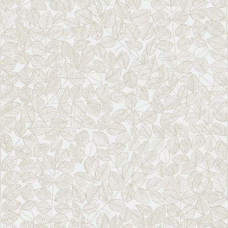 Shop 1767 Romans Sand by Borastapeter Wallpaper