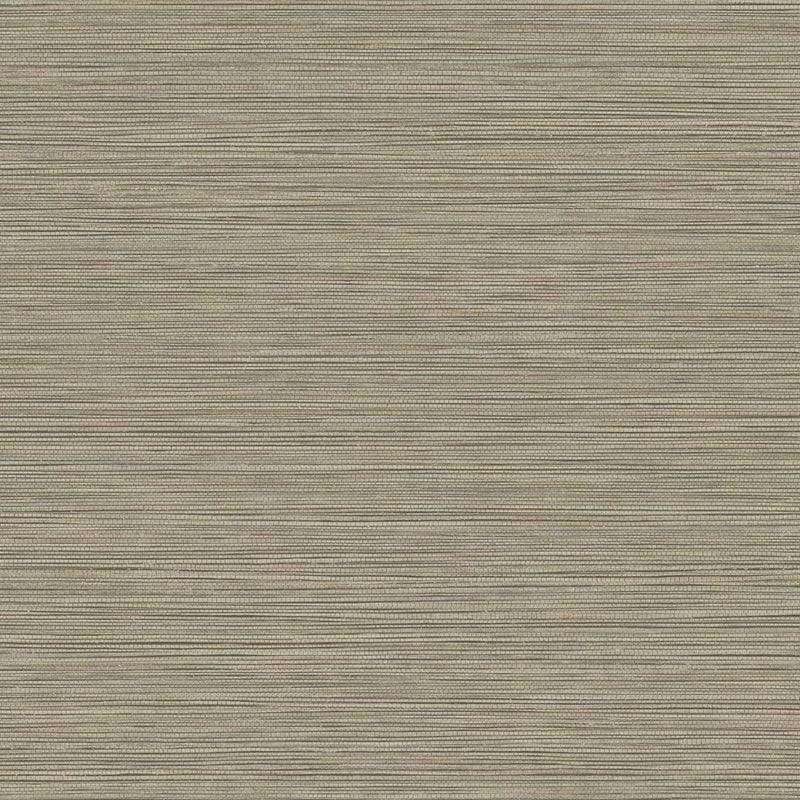 Sample BV30106 Texture Gallery, Grasslands Warm Stone Seabrook Wallpaper
