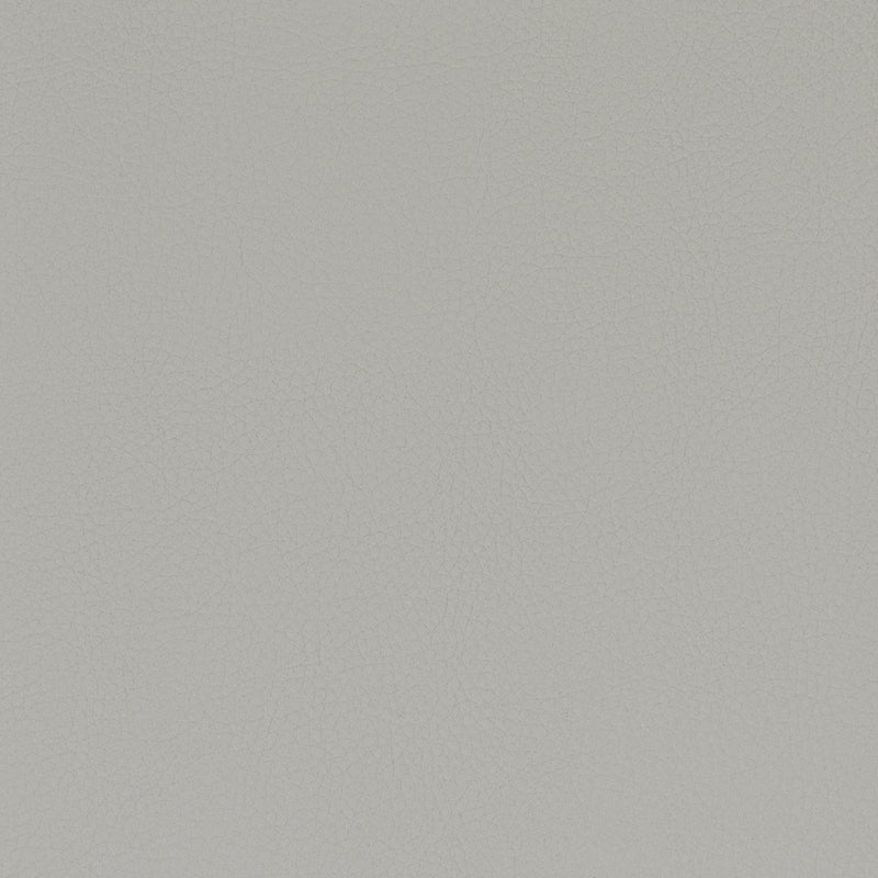Sample Clas-6 Classic 6 Zinc By Stout Fabric