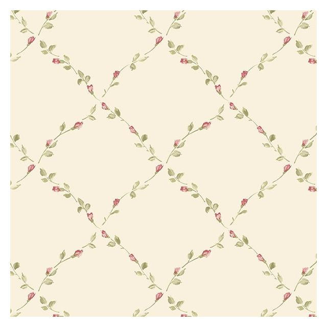 Looking PP27727 Pretty Prints 4  by Norwall Wallpaper