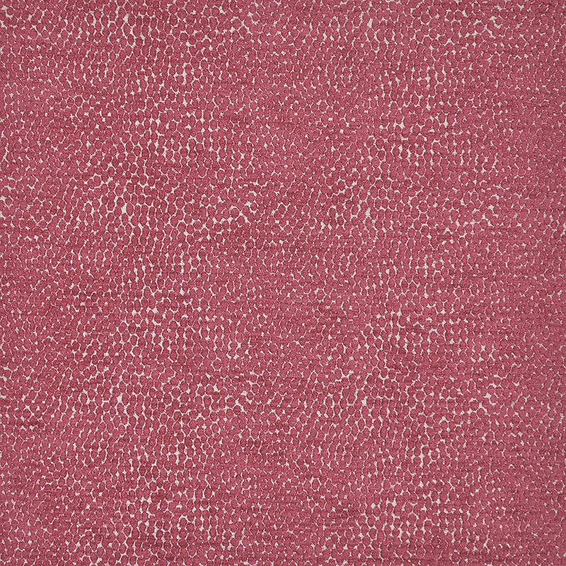 BAU803 | Bitsy Fuchsia by Maxwell Fabric