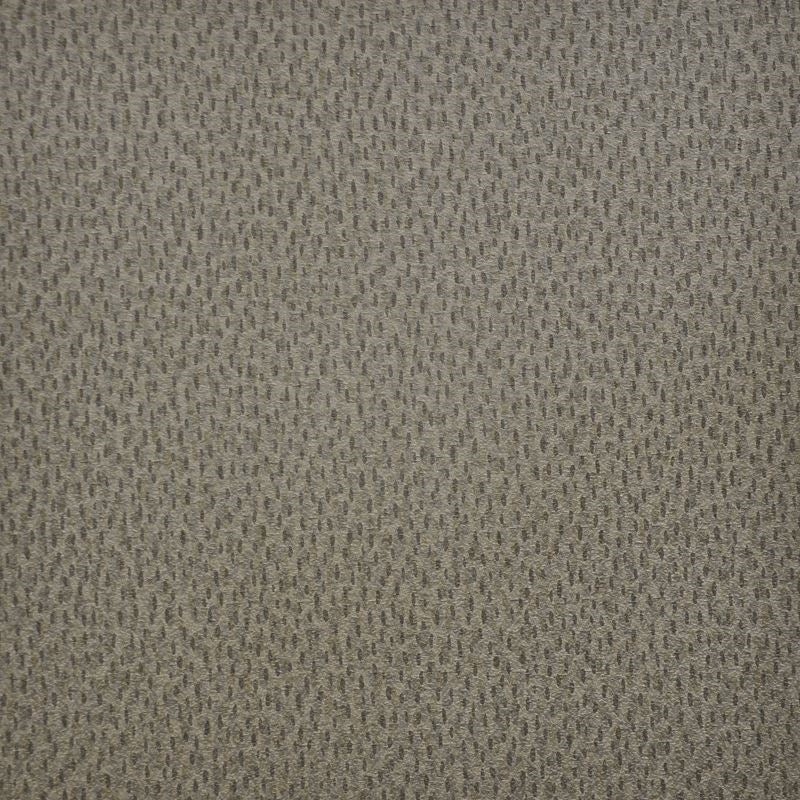 SKA257 | Spotlight Bark by Maxwell Fabric