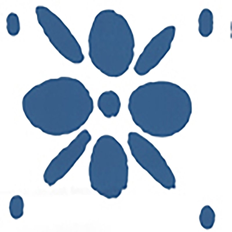 Sample 6380-09WP Wildflowers Ii, Navy on White by Quadrille Wallpaper
