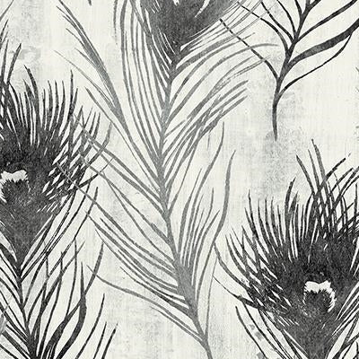 View CR22500 Jersey Black Feathers by Carl Robinson 10-Island Wallpaper
