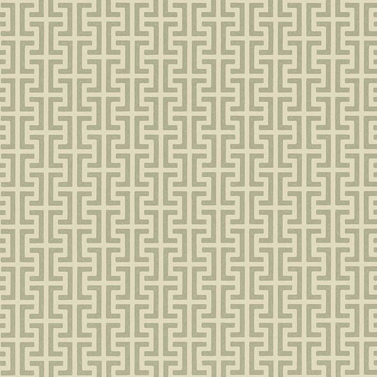 Acquire 5008053 Temple Sage Schumacher Wallpaper