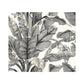 Sample PSW1037RL Tropics, Botanical Black Peel and Stick Wallpaper