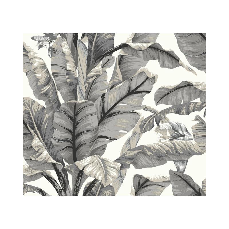 Sample PSW1037RL Tropics, Botanical Black Peel and Stick Wallpaper