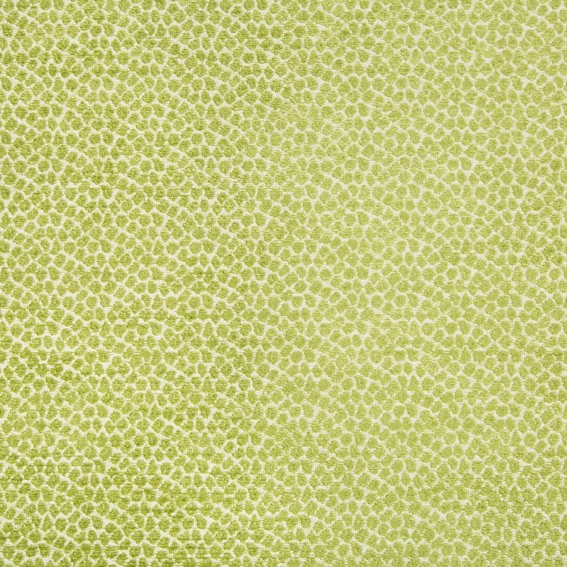 Looking 34682.3.0  Skins Green by Kravet Design Fabric