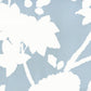 Sample 306180W Happy Garden Background, Windsor Blue On White by Quadrille Wallpaper