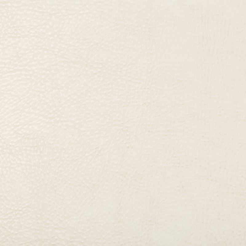 Select BEHOLDER.1.0  Skins White by Kravet Design Fabric