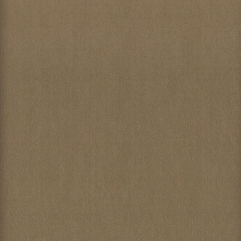 Sample ELBE-6 Elbert, Shadow Stout Fabric