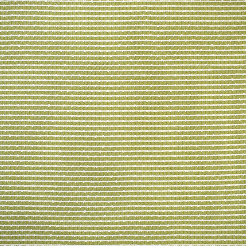 Save S4550 Lime Stripe Green Greenhouse Fabric