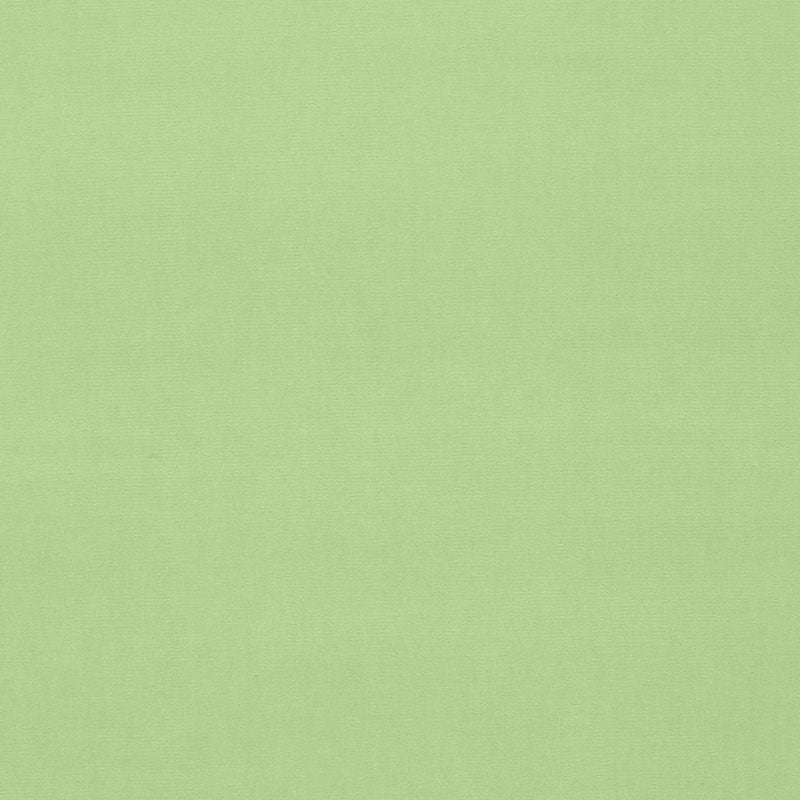 Purchase sample of 42855 Gainsborough Velvet, Mint by Schumacher Fabric