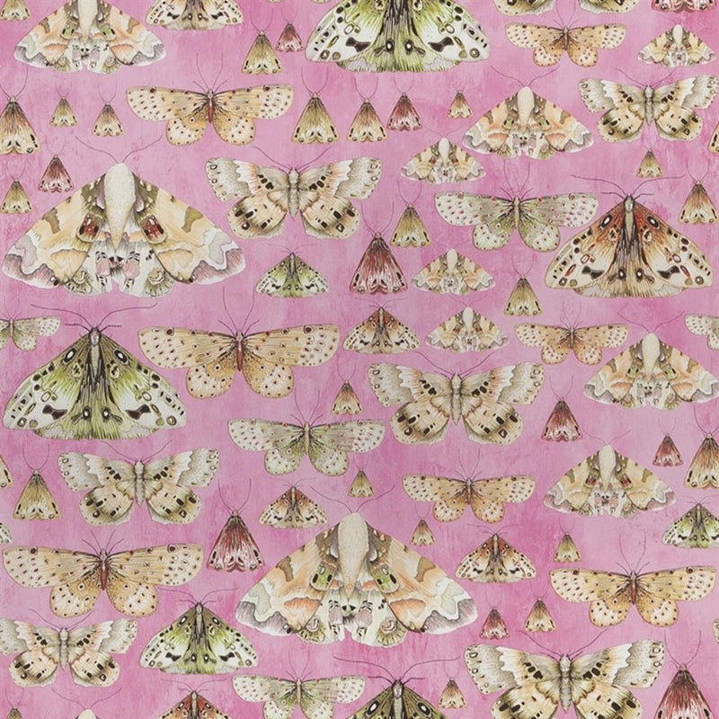 Sample PDG713-03 Issoria, Rose by Designer Guild Wallpaper
