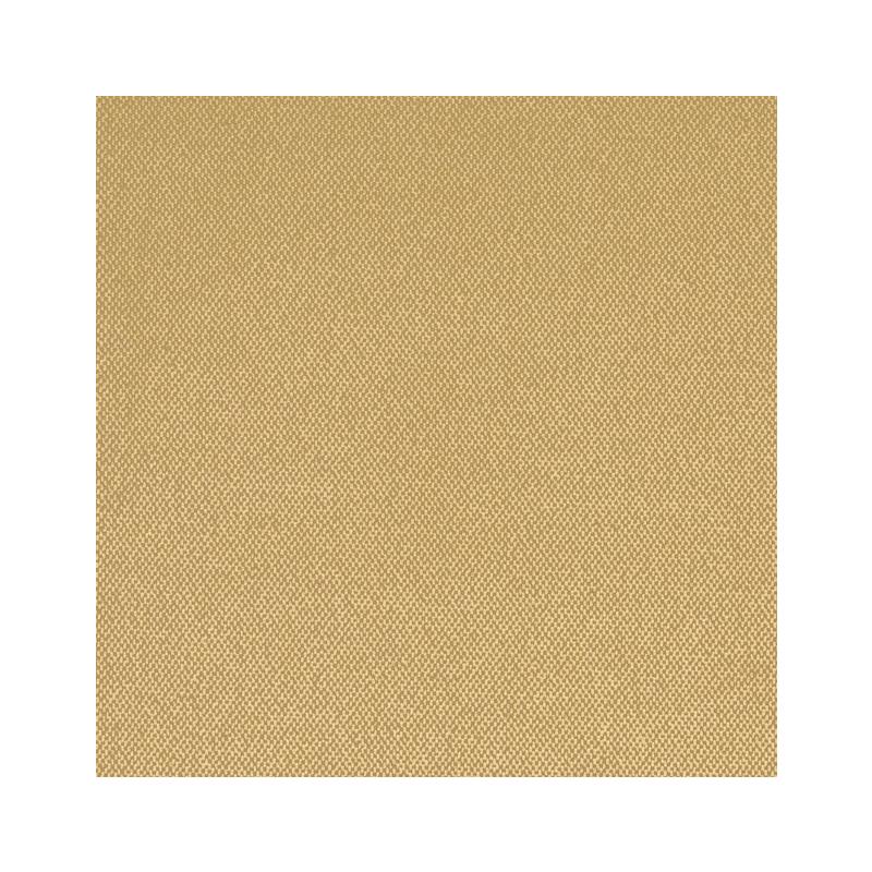 Sample LIAM, 12J6601 by JF Fabric