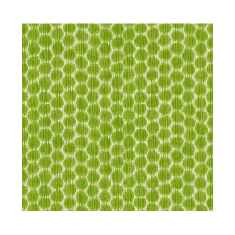 Purchase DOTKAT.3 Kravet Design Multipurpose Fabric