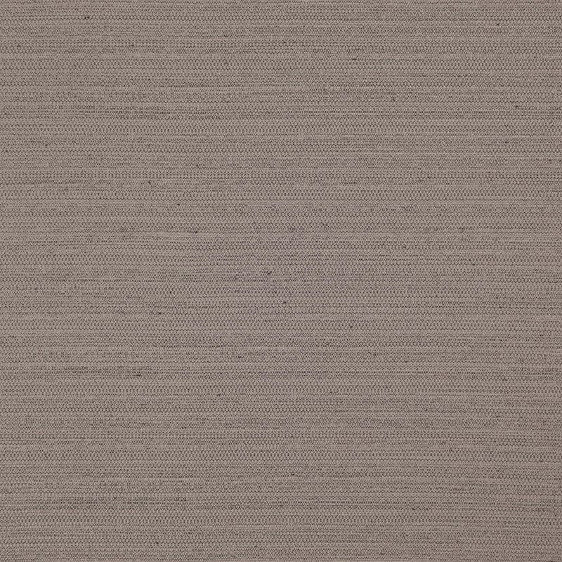Sample DI5708 Darwin Chinchilla by Maxwell