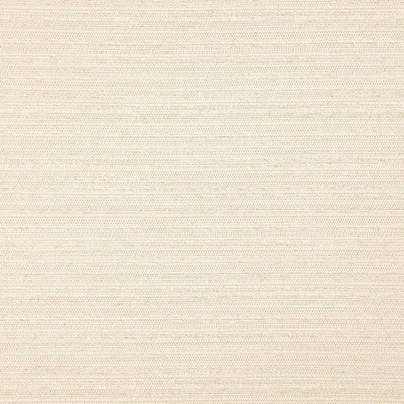 DI5714 | Darwin Raffia by Maxwell Fabric