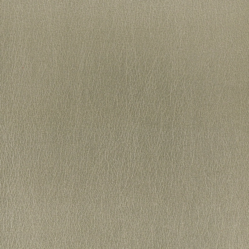 Sample ROUL-2 Platinum by Stout Fabric