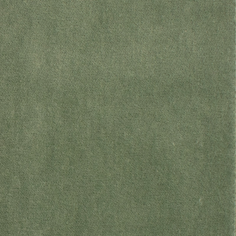 Shop S1061 Balsam Green Texture Greenhouse Fabric