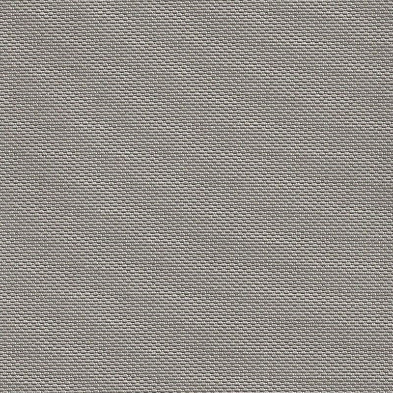 B5260 Trexx Metallic Putty | Contemporary, Vinyl - Greenhouse Fabric