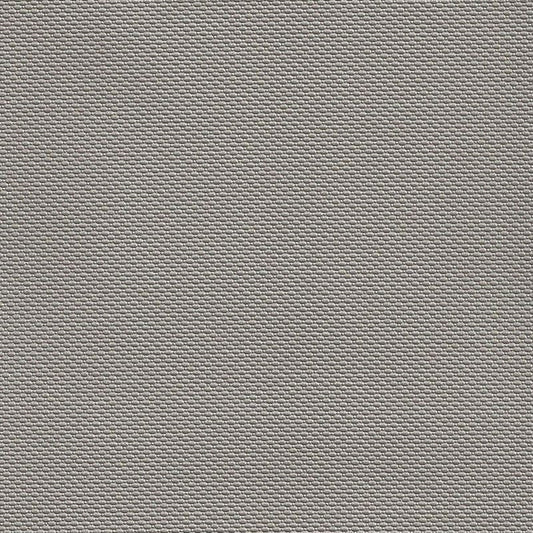 B5260 Trexx Metallic Putty | Contemporary, Vinyl - Greenhouse Fabric