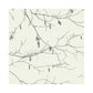 Sample NR1524 Norlander, Winter Branches, White Off Whites Botanical York Wallpaper