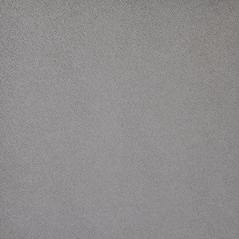 PQ55007 | Pony Express Flintstone by Maxwell Fabric