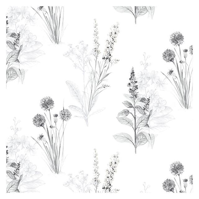 Purchase AB42443 Flourish (Abby Rose 4) Grey Flora Wallpaper in Greys & Black by Norwall Wallpaper