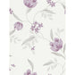 Sample 798845 white wallpaper Washington