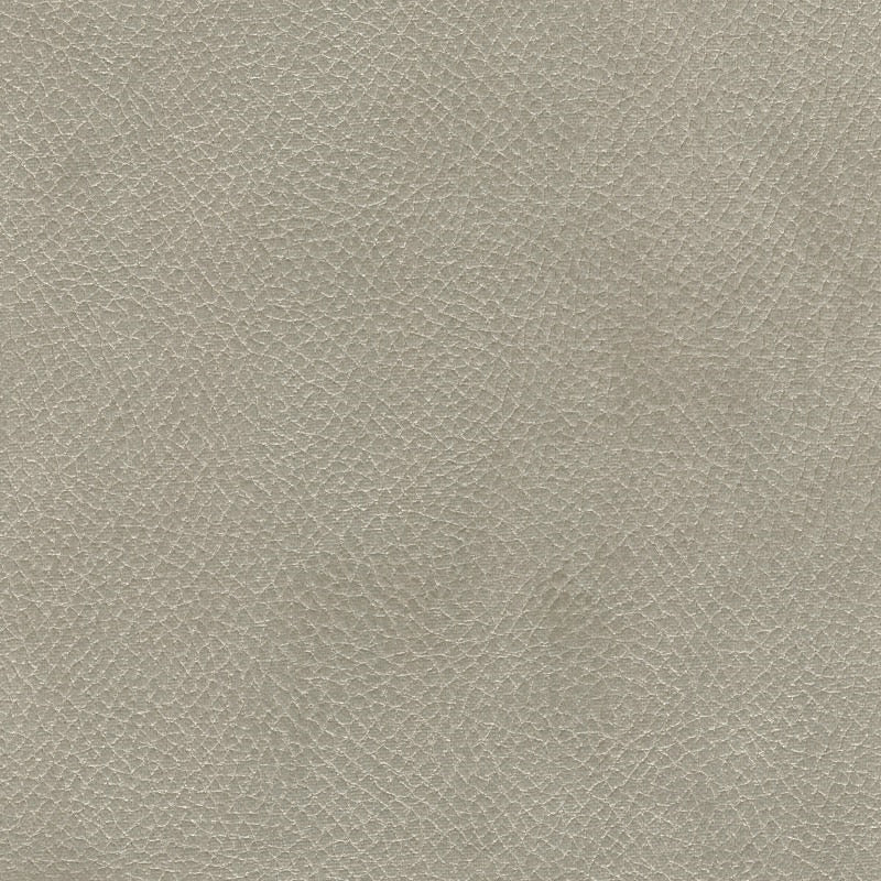 Sample 8109 Degraw Fog Magnolia Fabric