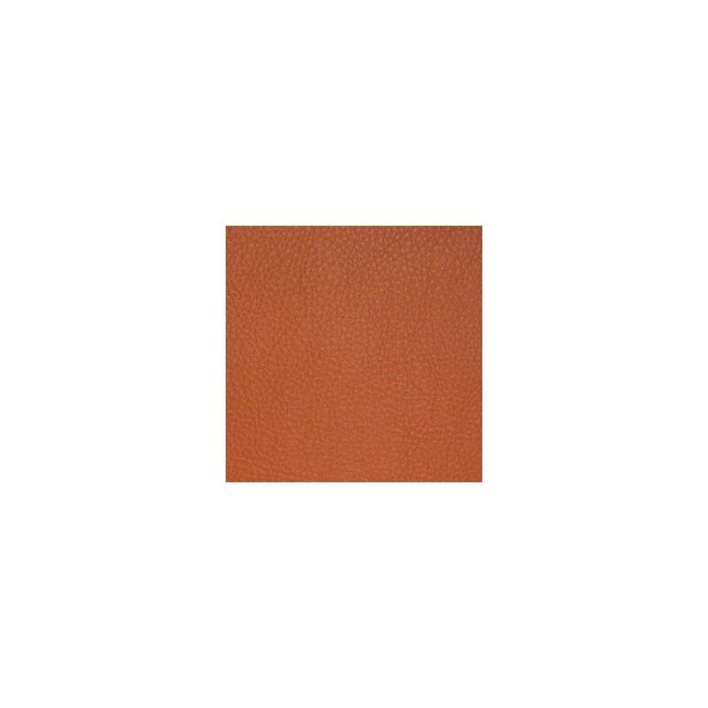Sample CDA030 Classic (contract Vinyl) Persimmon by Maxwell