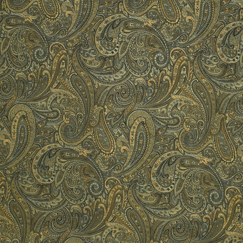 Purchase F2411 Agate Paisley Upholstery Greenhouse Fabric