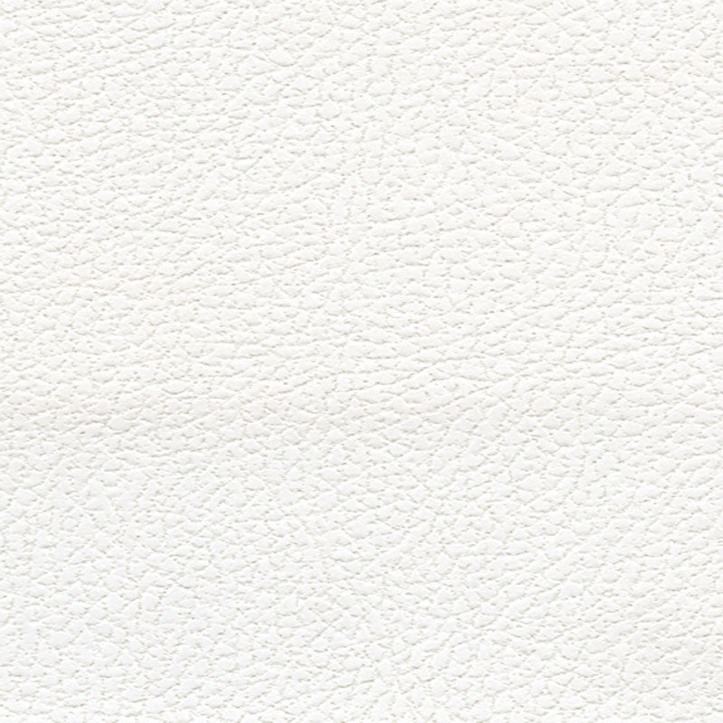 Purchase sample of 393-5750 Brisa Soleil, Polar by Schumacher Fabric